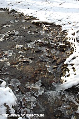 Winterspaziergang im Bachtal