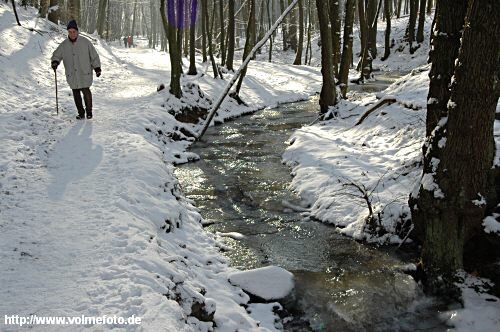 Winterspaziergang im Bachtal