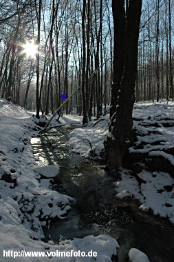 Winterspaziergang im Bachtal