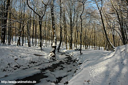 Winterspaziergang im Bachtal