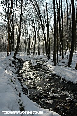 Winterspaziergang im Bachtal