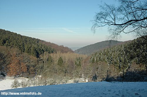 Winterspaziergang im Bachtal