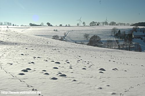 Winterspaziergang im Bachtal