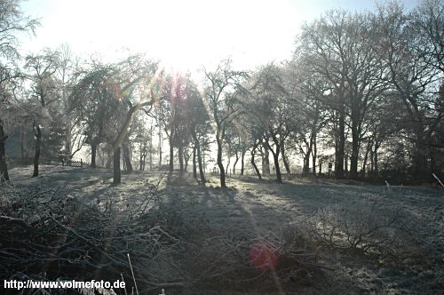 Vereiste Landschaft am Tcking